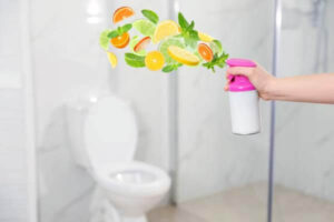 Best Toilet Freshener