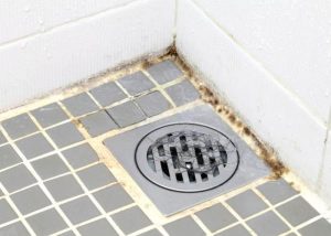 Remove Mold From Bathroom Ceiling With Vinegar