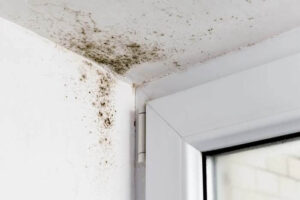 How To Paint Over Mildew In A Bathroom